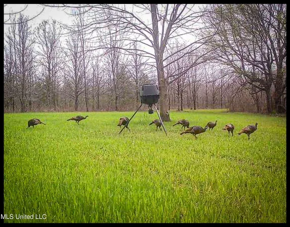 $779,000 | 278 278th, Marks, MS 38646