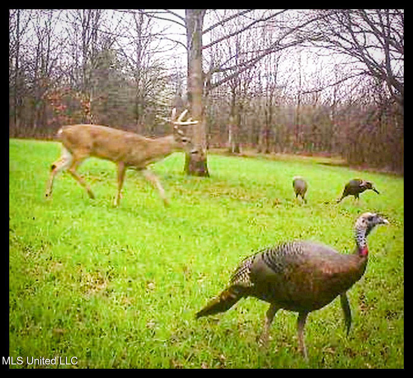 278 278th Marks, MS 38646 - Photo 30 of 125 IMG_4641c