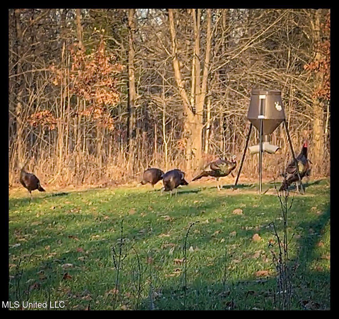 278 278th Marks, MS 38646 - Photo 32 of 125 IMG_5964