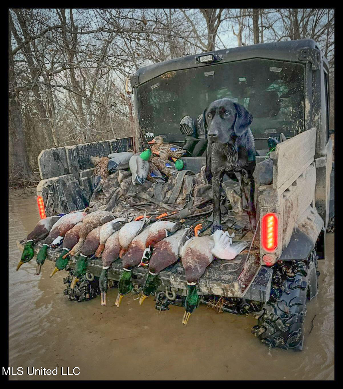 278 278th Marks, MS 38646 - Photo 33 of 125 IMG_7809c