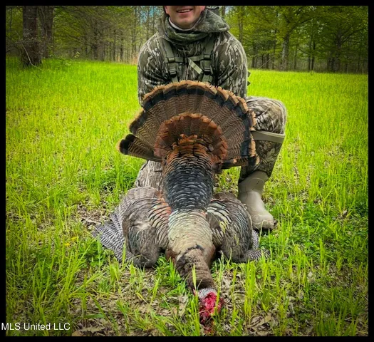 $779,000 | 278 278th, Marks, MS 38646