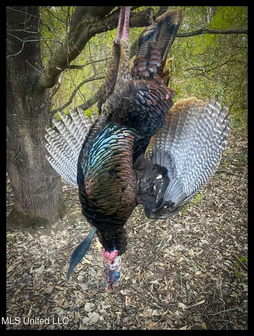 $779,000 | 278 278th, Marks, MS 38646