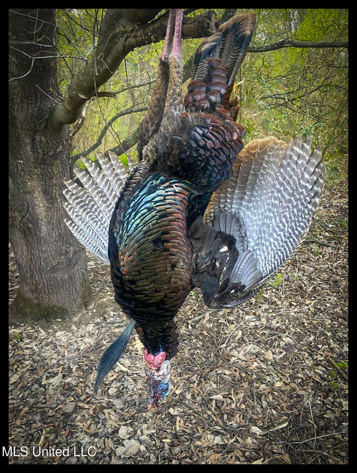 278 278th Marks, MS 38646 - Photo 35 of 125 IMG_7812b