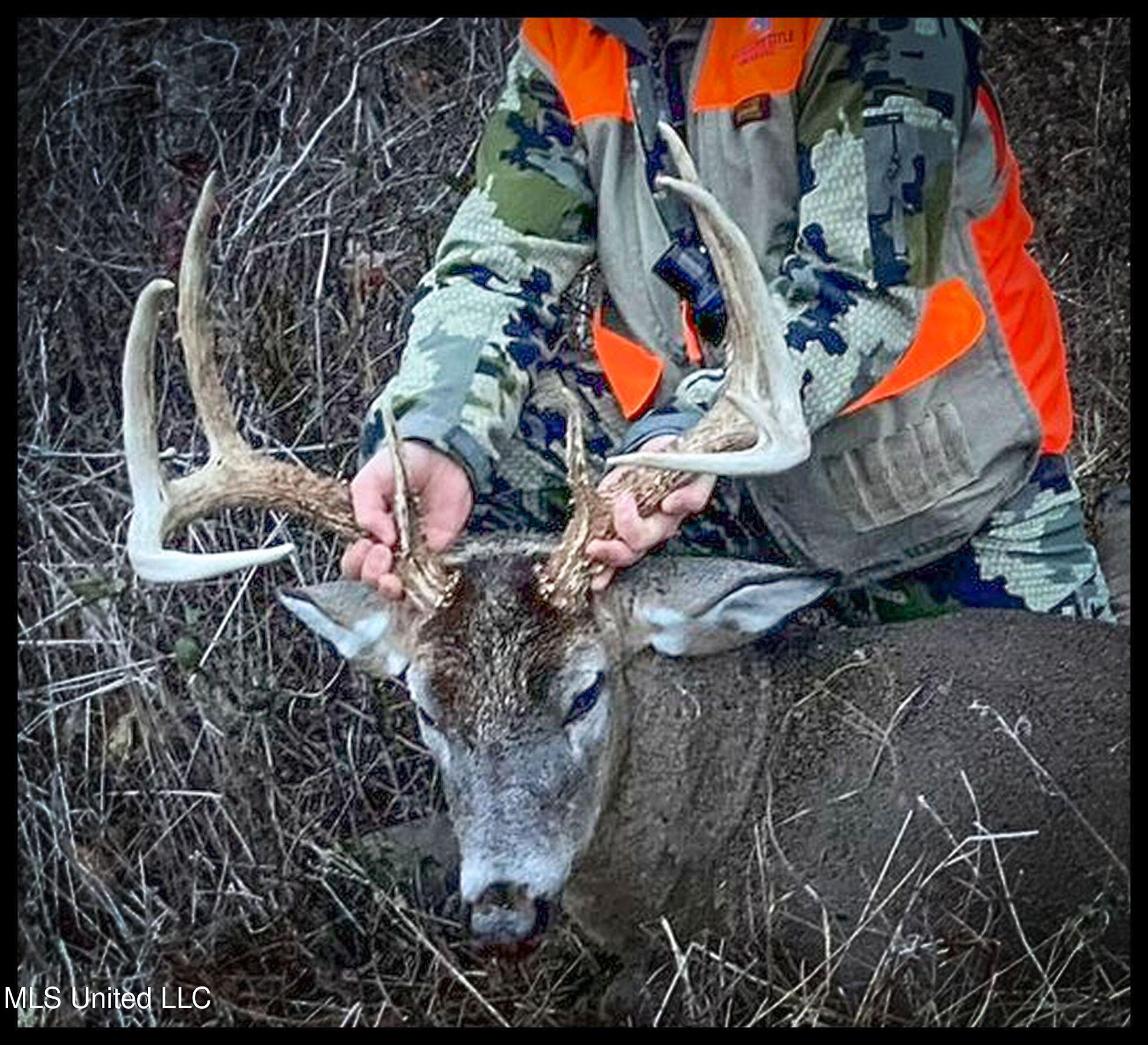 278 278th Marks, MS 38646 - Photo 36 of 125 IMG_7814c