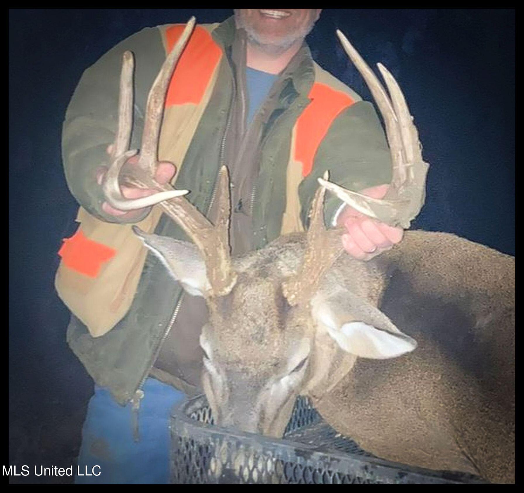 278 278th Marks, MS 38646 - Photo 37 of 125 IMG_7815c