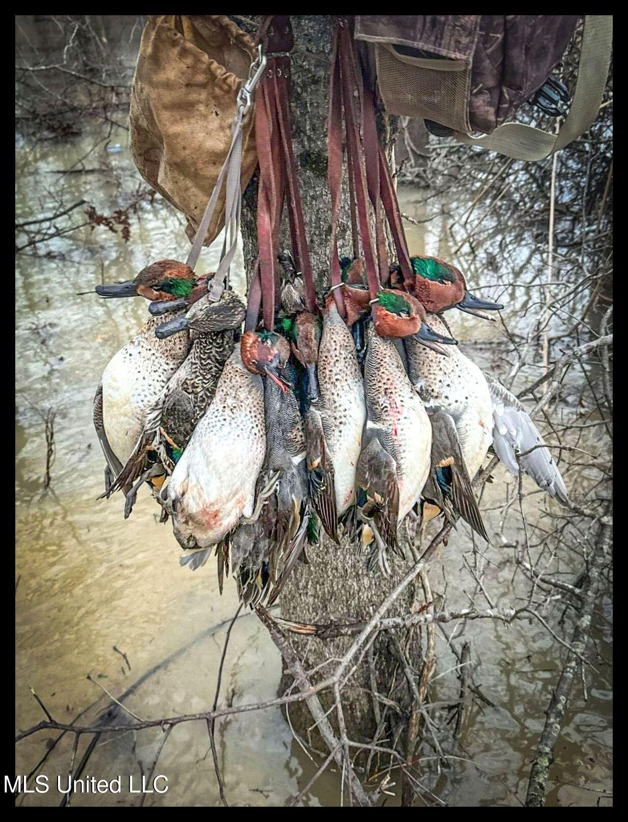 278 278th Marks, MS 38646 - Photo 38 of 125 IMG_7818b