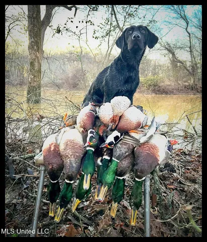 $779,000 | 278 278th, Marks, MS 38646