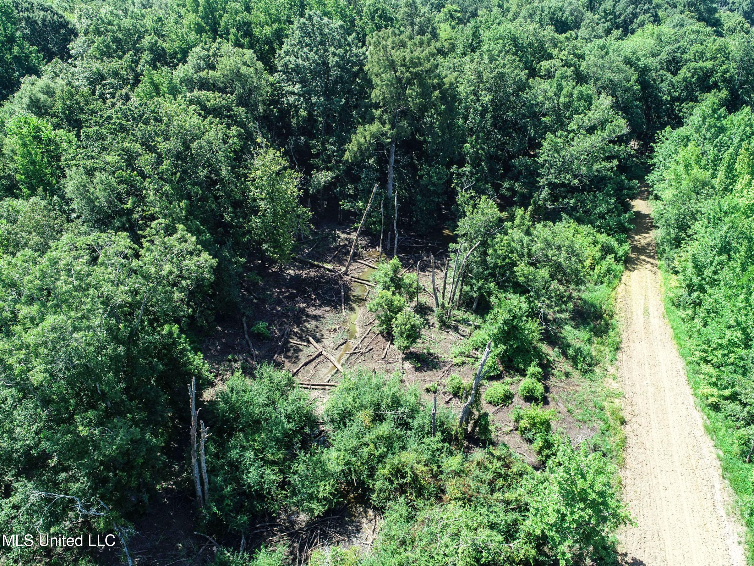 278 278th Marks, MS 38646 - Photo 49 of 125 4bobo19