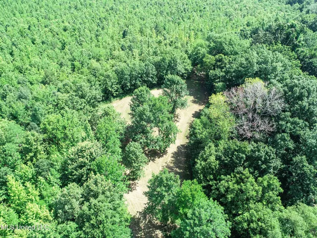 $779,000 | 278 278th, Marks, MS 38646