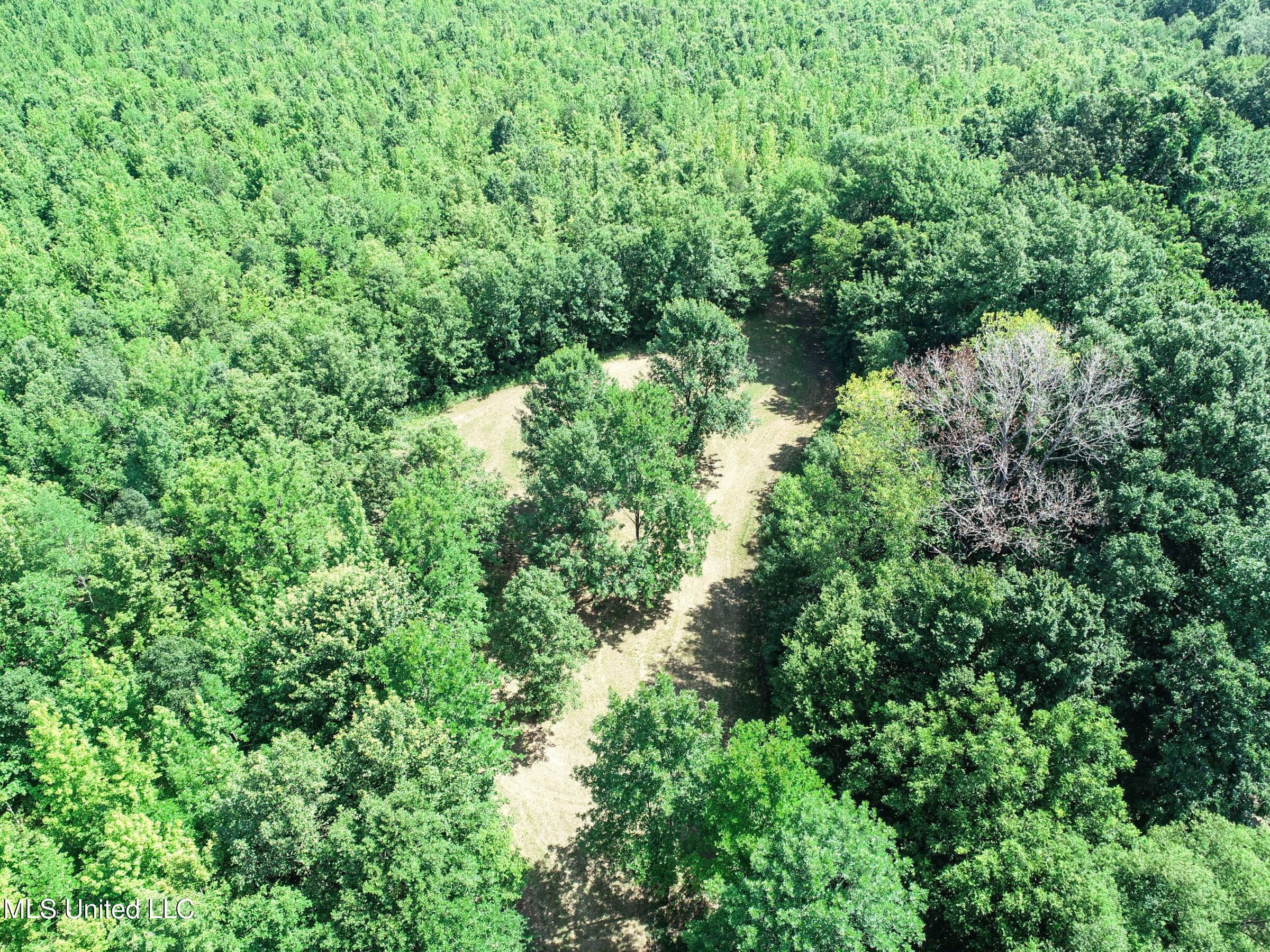 278 278th Marks, MS 38646 - Photo 63 of 125 4bobo41