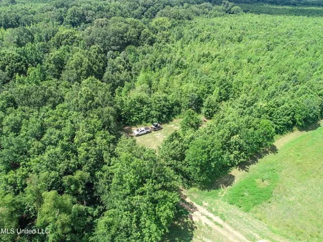 $779,000 | 278 278th, Marks, MS 38646