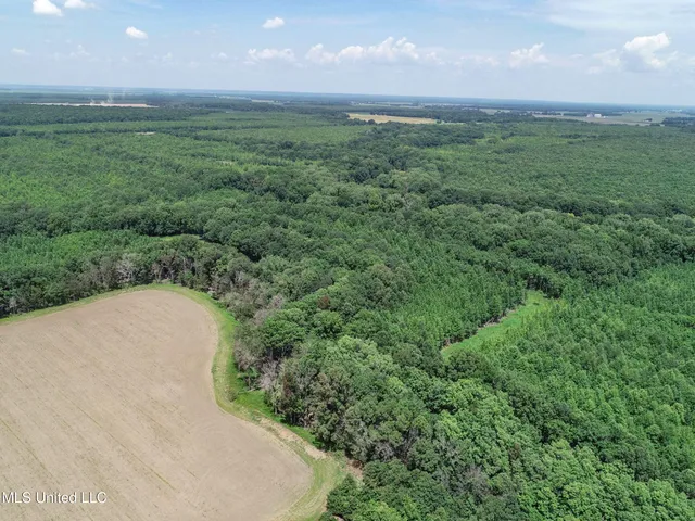 $779,000 | 278 278th, Marks, MS 38646