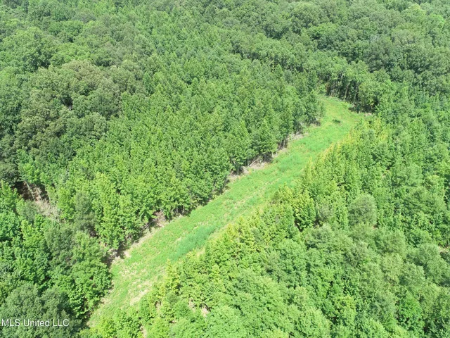 $779,000 | 278 278th, Marks, MS 38646