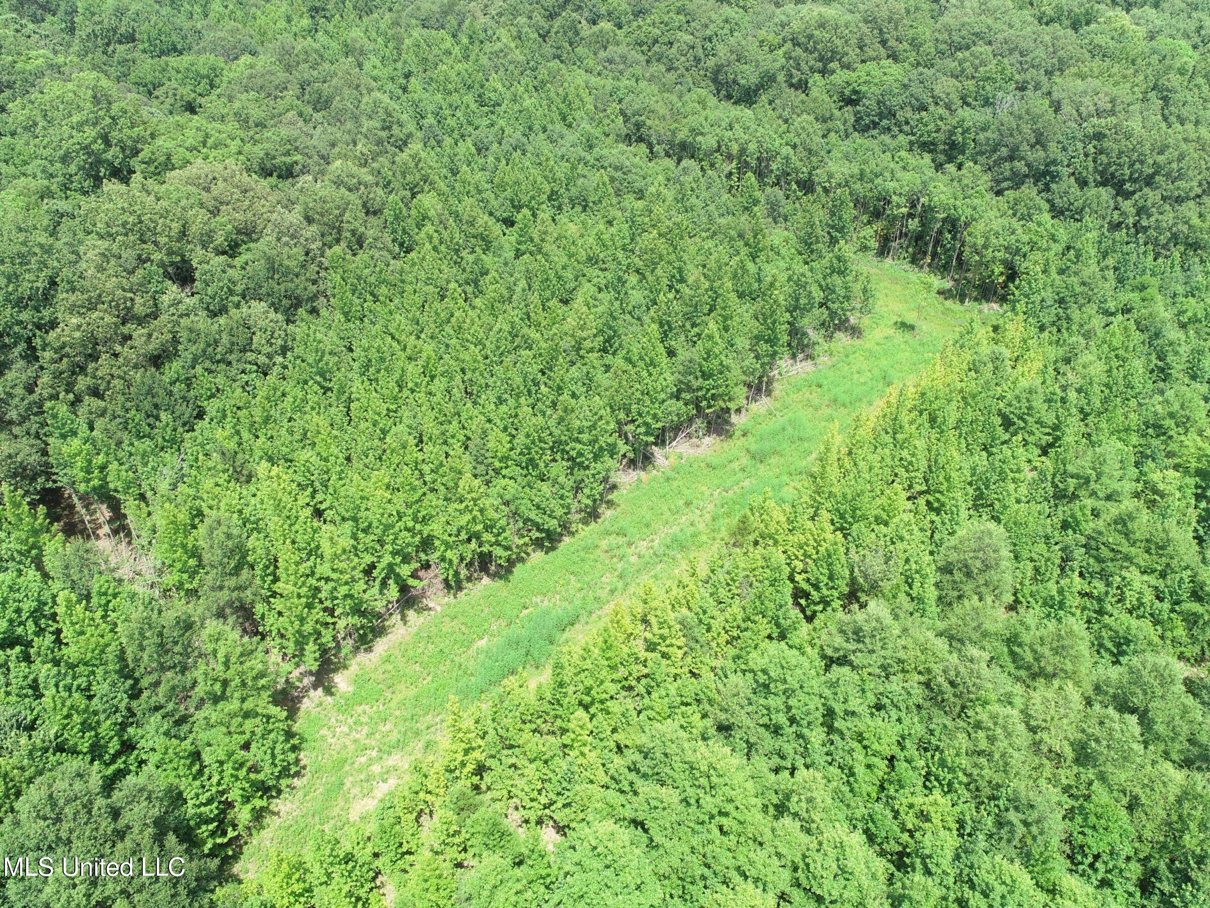 278 278th Marks, MS 38646 - Photo 69 of 125 4bobo60