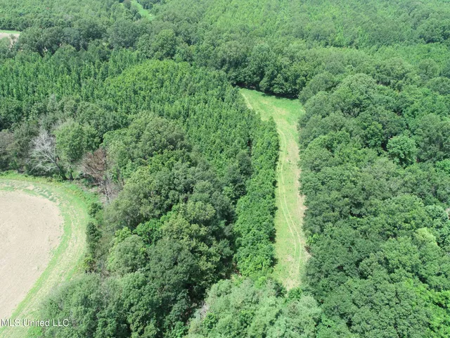 $779,000 | 278 278th, Marks, MS 38646