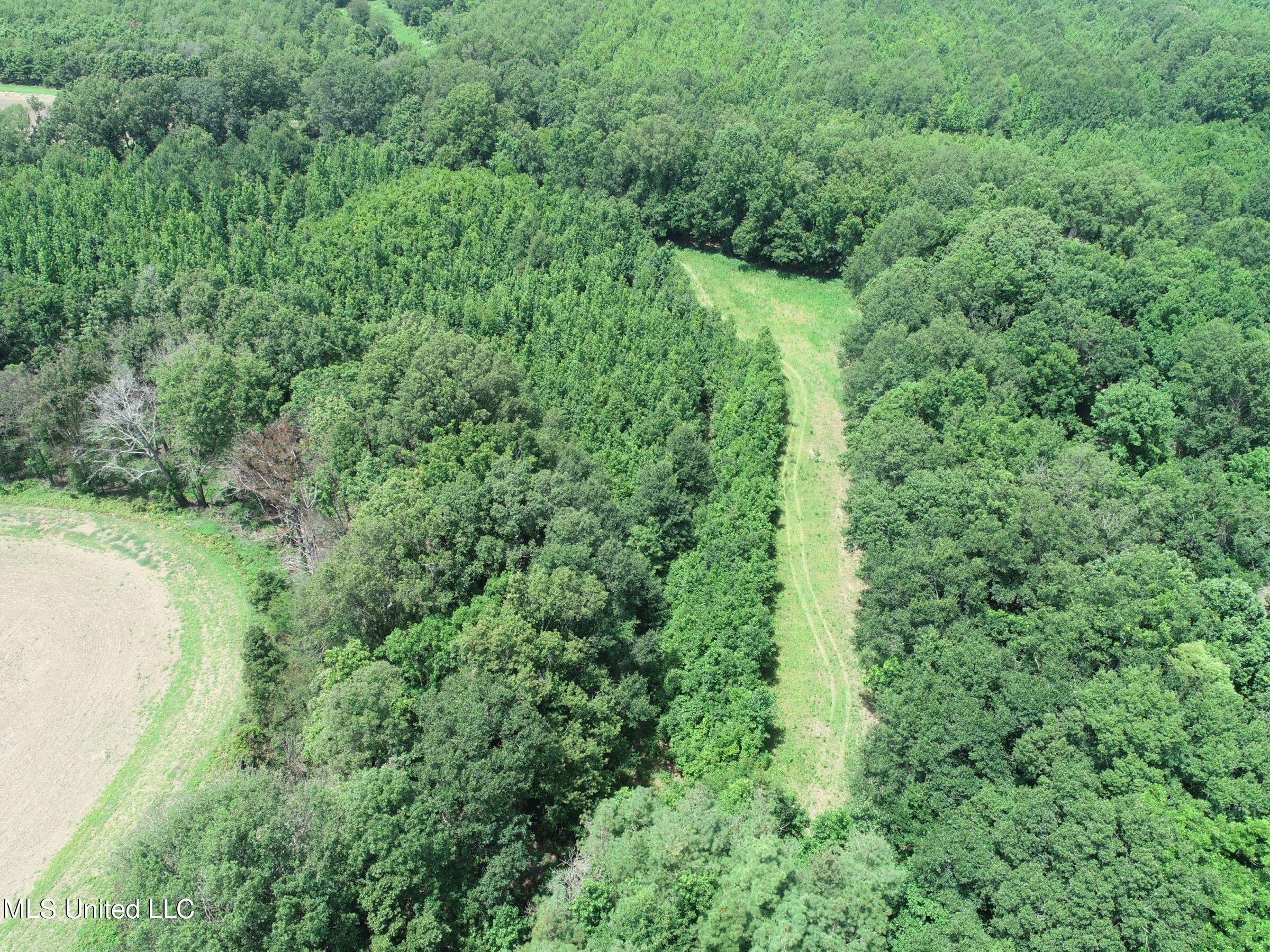 278 278th Marks, MS 38646 - Photo 72 of 125 4bobo67