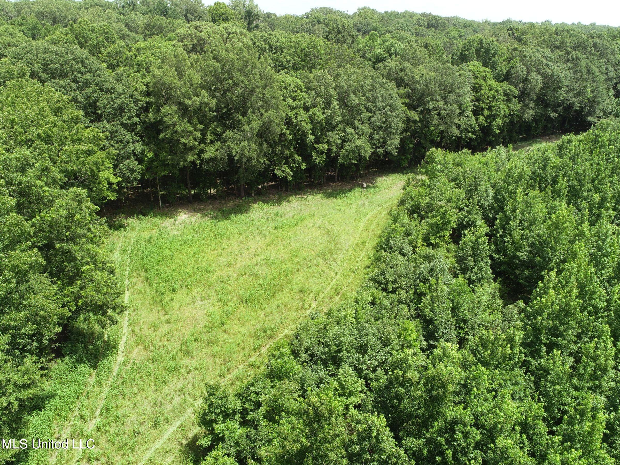 278 278th Marks, MS 38646 - Photo 73 of 125 4bobo70