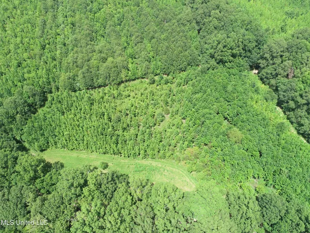 $779,000 | 278 278th, Marks, MS 38646