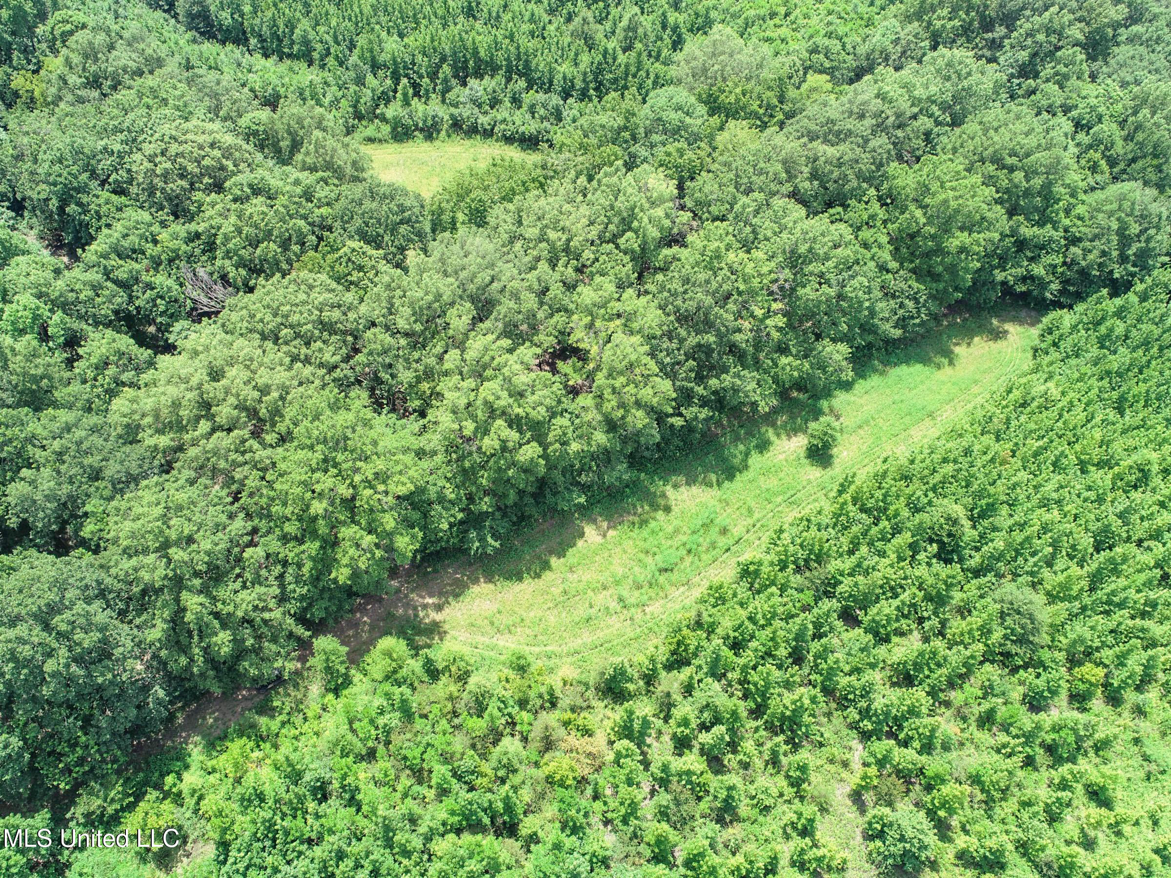 278 278th Marks, MS 38646 - Photo 76 of 125 4bobo75