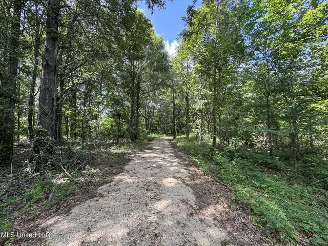 $779,000 | 278 278th, Marks, MS 38646