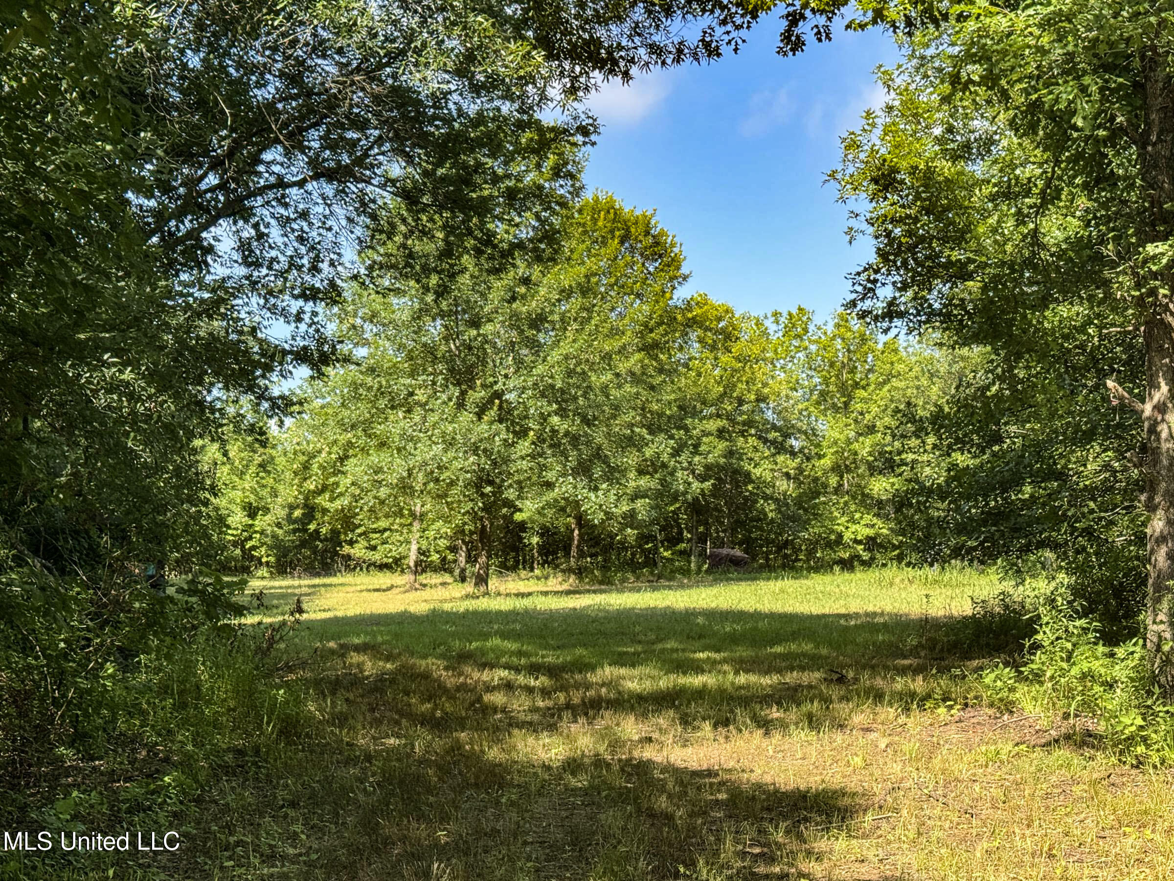 278 278th Marks, MS 38646 - Photo 84 of 125 7bobo8