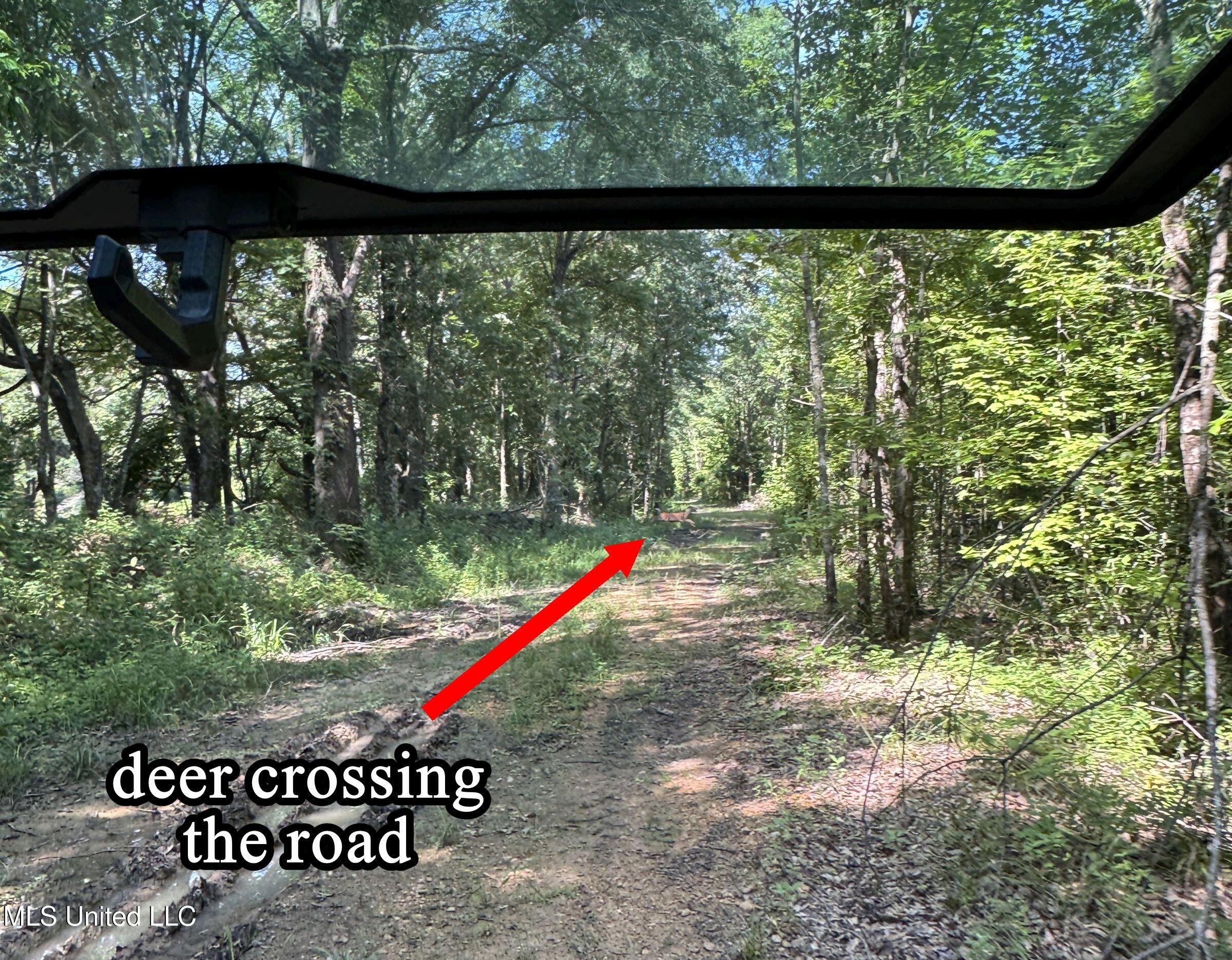 278 278th Marks, MS 38646 - Photo 85 of 125 7bobo12