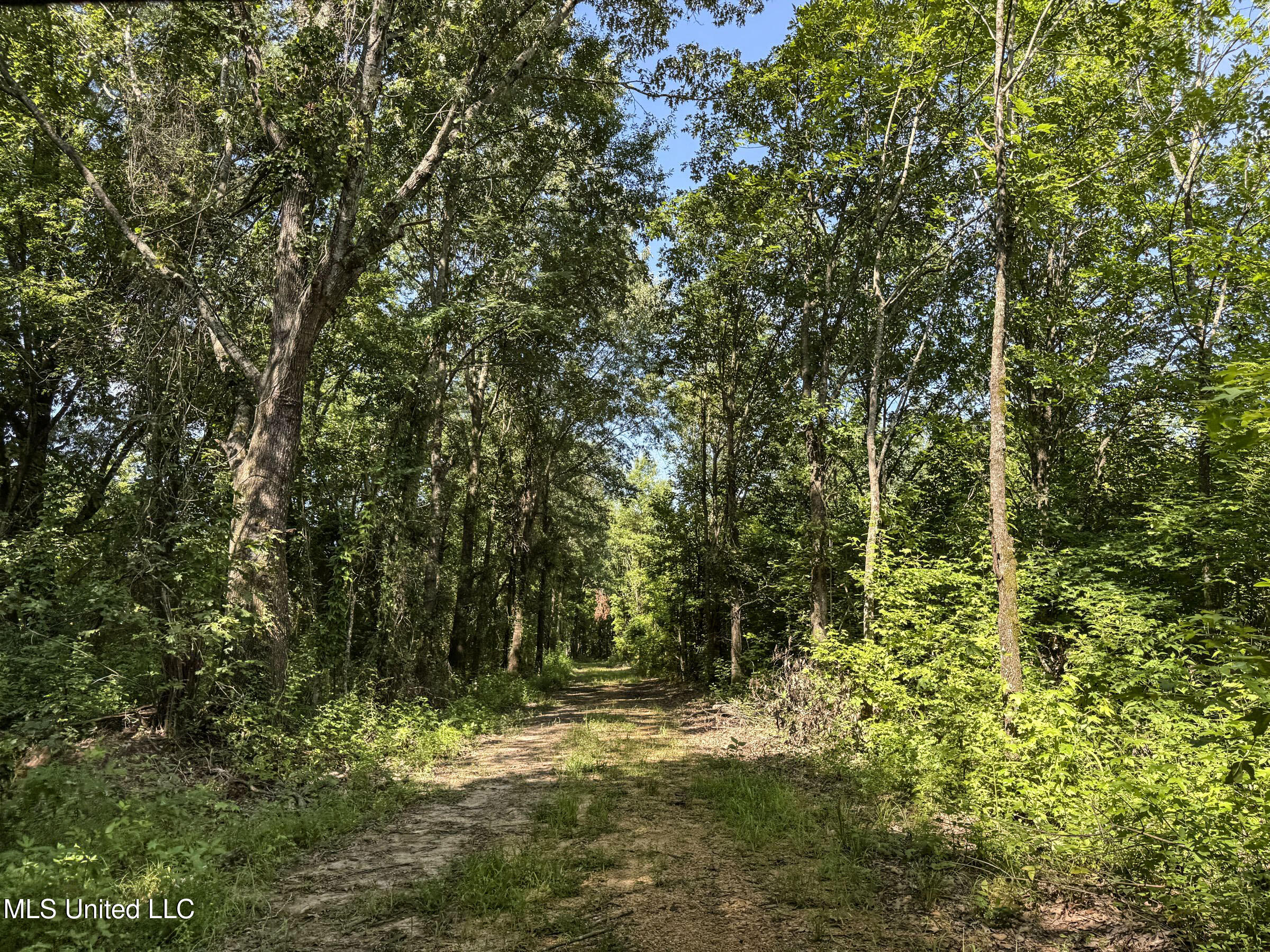 278 278th Marks, MS 38646 - Photo 86 of 125 7bobo13