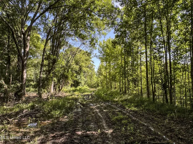 $779,000 | 278 278th, Marks, MS 38646