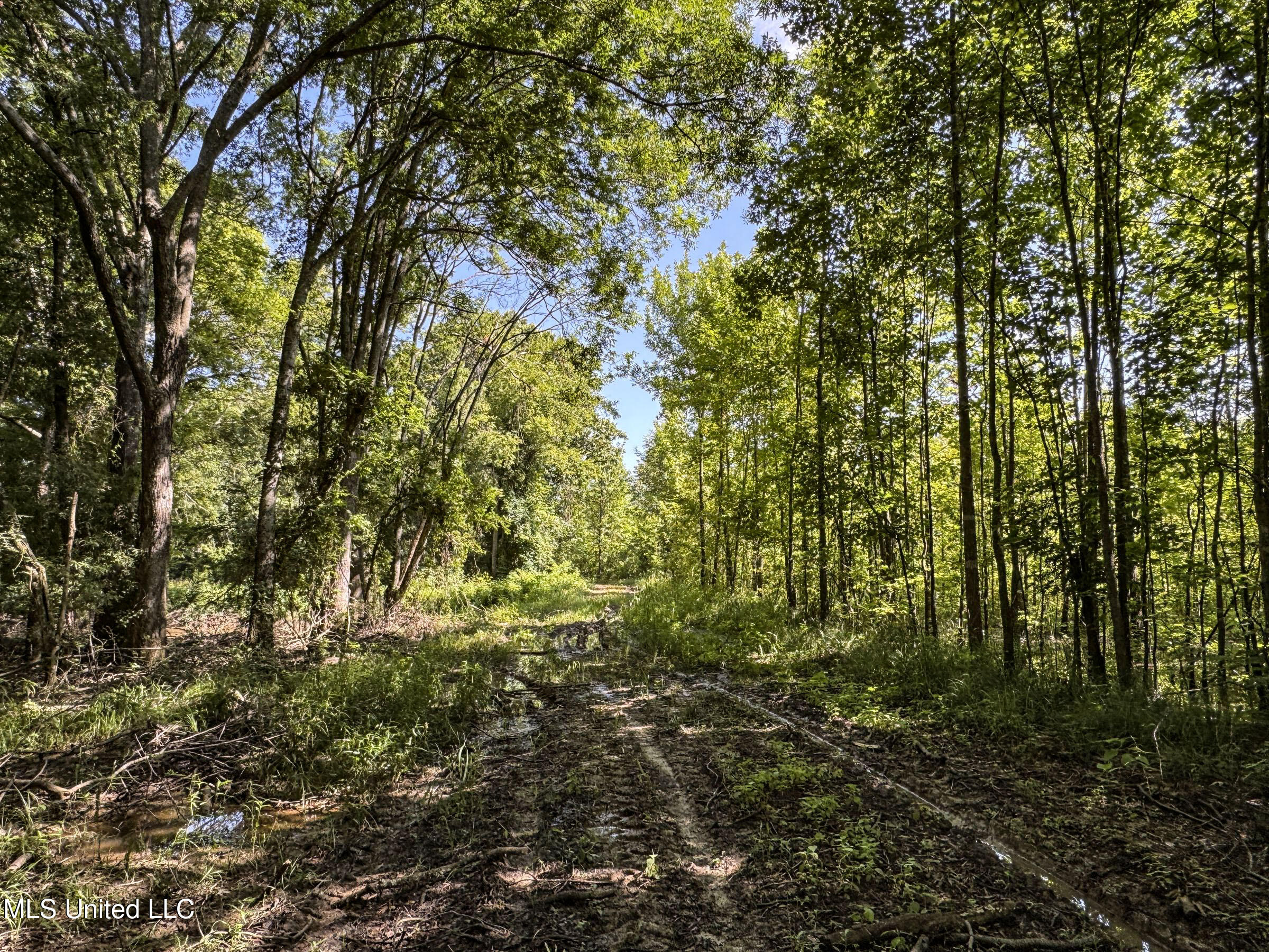 278 278th Marks, MS 38646 - Photo 87 of 125 7bobo16