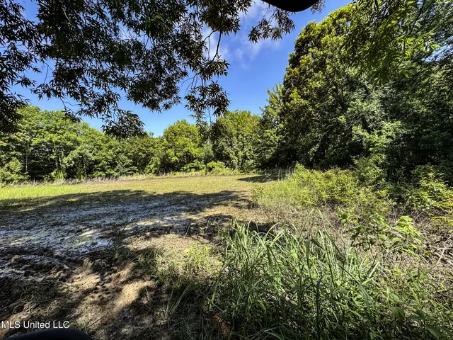 $779,000 | 278 278th, Marks, MS 38646
