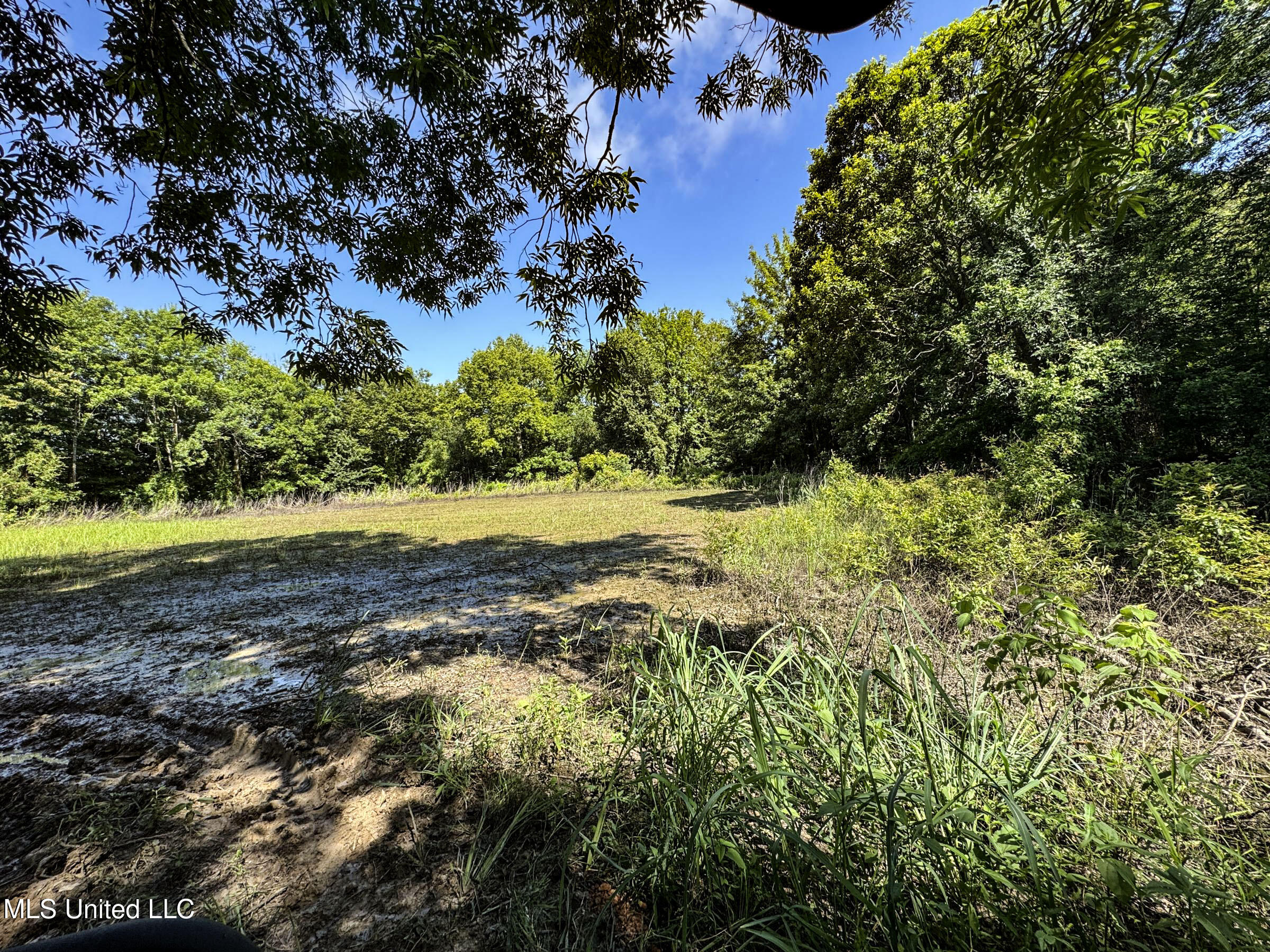 278 278th Marks, MS 38646 - Photo 88 of 125 7bobo18