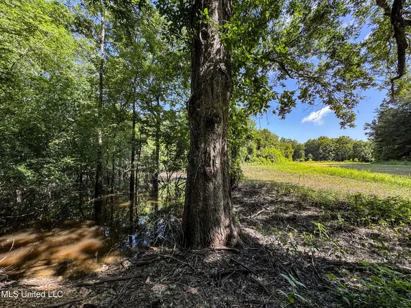 $779,000 | 278 278th, Marks, MS 38646