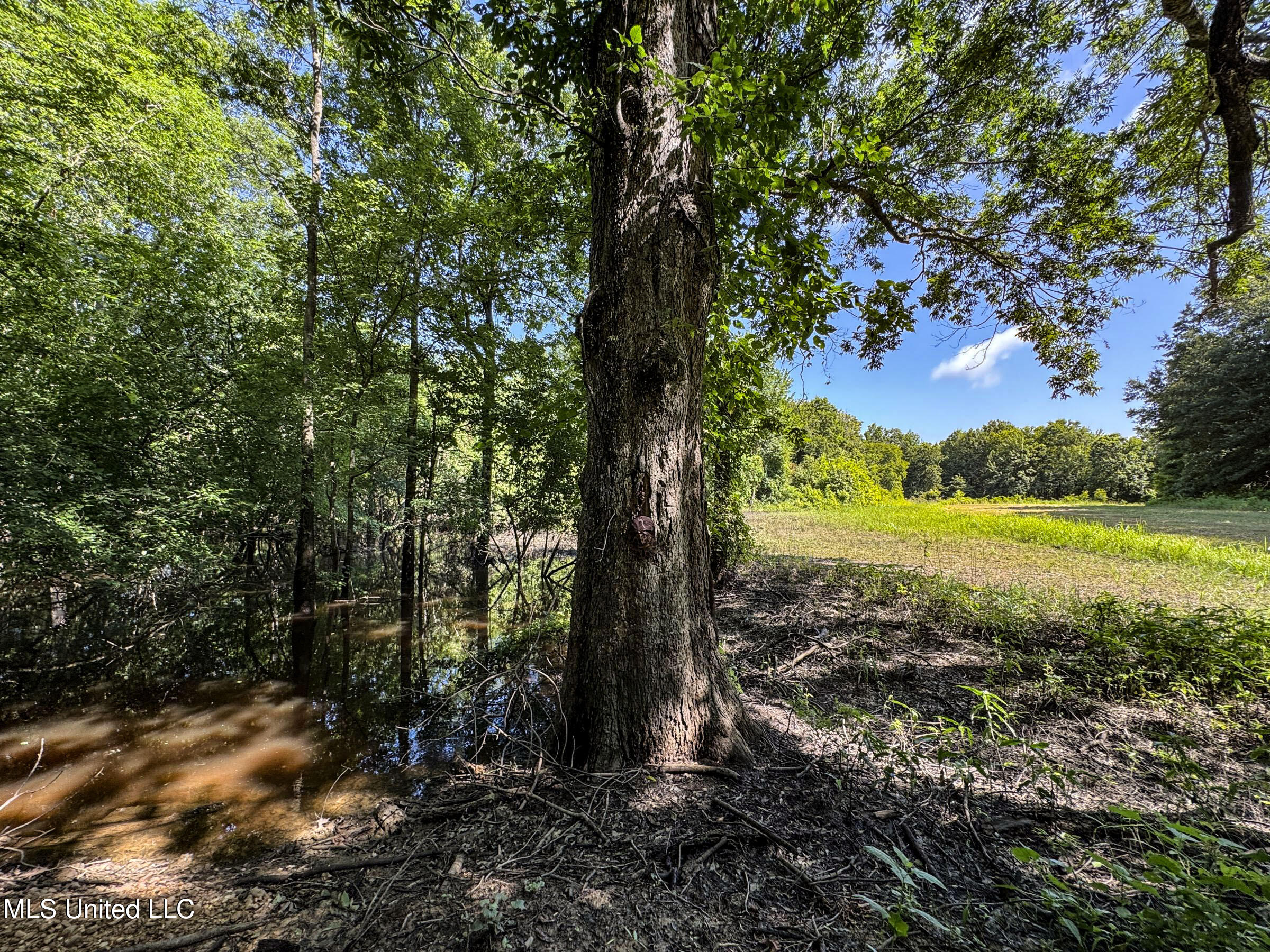 278 278th Marks, MS 38646 - Photo 89 of 125 7bobo23