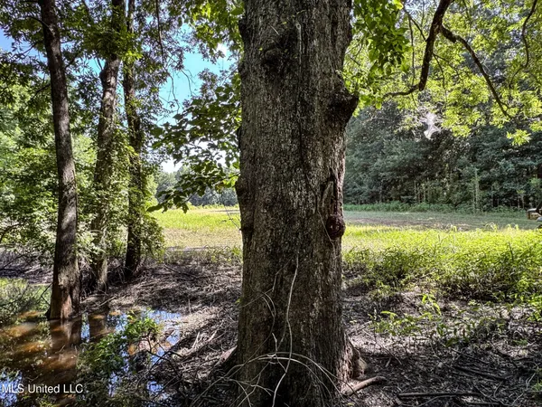 $779,000 | 278 278th, Marks, MS 38646