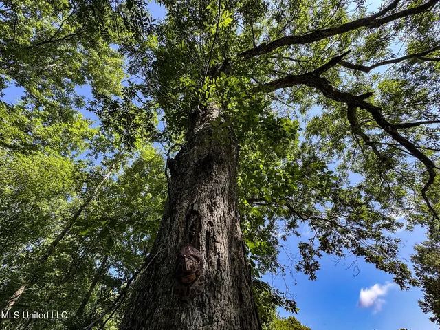 $779,000 | 278 278th, Marks, MS 38646