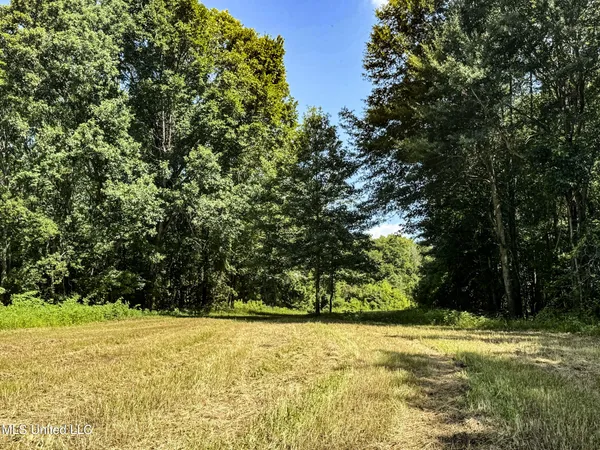 $779,000 | 278 278th, Marks, MS 38646