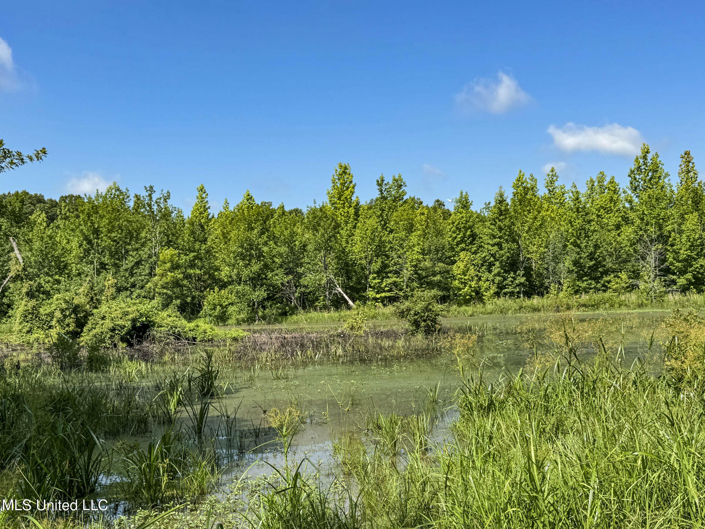 278 278th Marks, MS 38646 - Photo 94 of 125 7bobo34