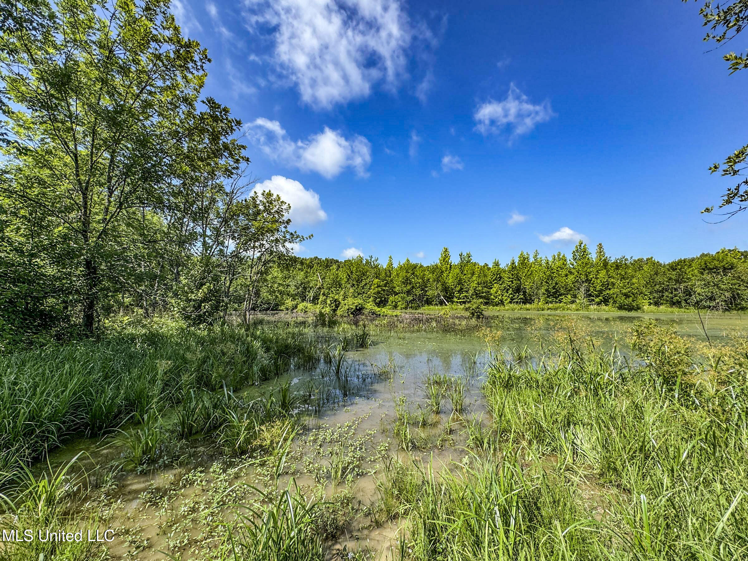 278 278th Marks, MS 38646 - Photo 95 of 125 7bobo36