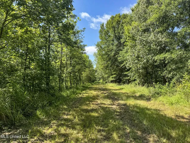 $779,000 | 278 278th, Marks, MS 38646