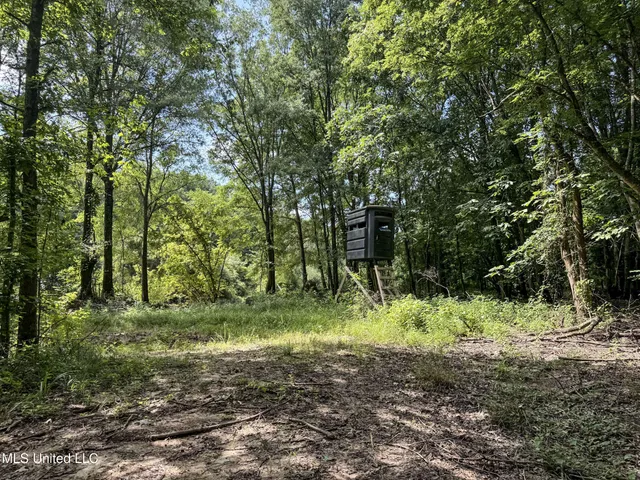 $779,000 | 278 278th, Marks, MS 38646