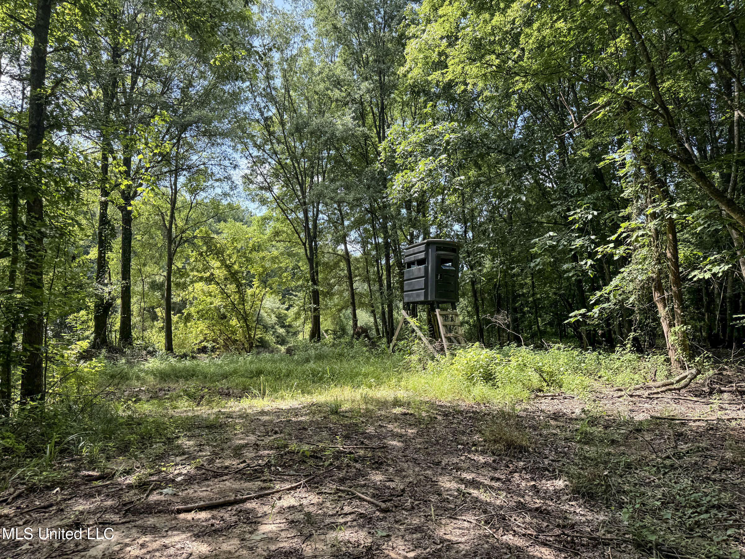 278 278th Marks, MS 38646 - Photo 98 of 125 7bobo46