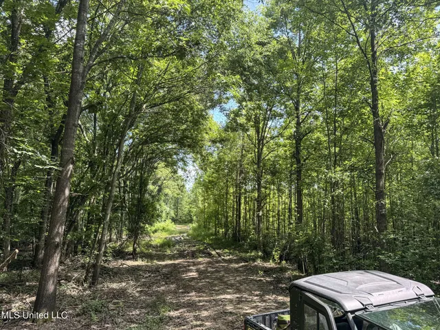 $779,000 | 278 278th, Marks, MS 38646