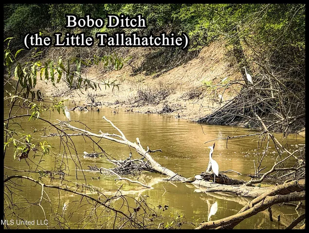 $779,000 | 278 278th, Marks, MS 38646