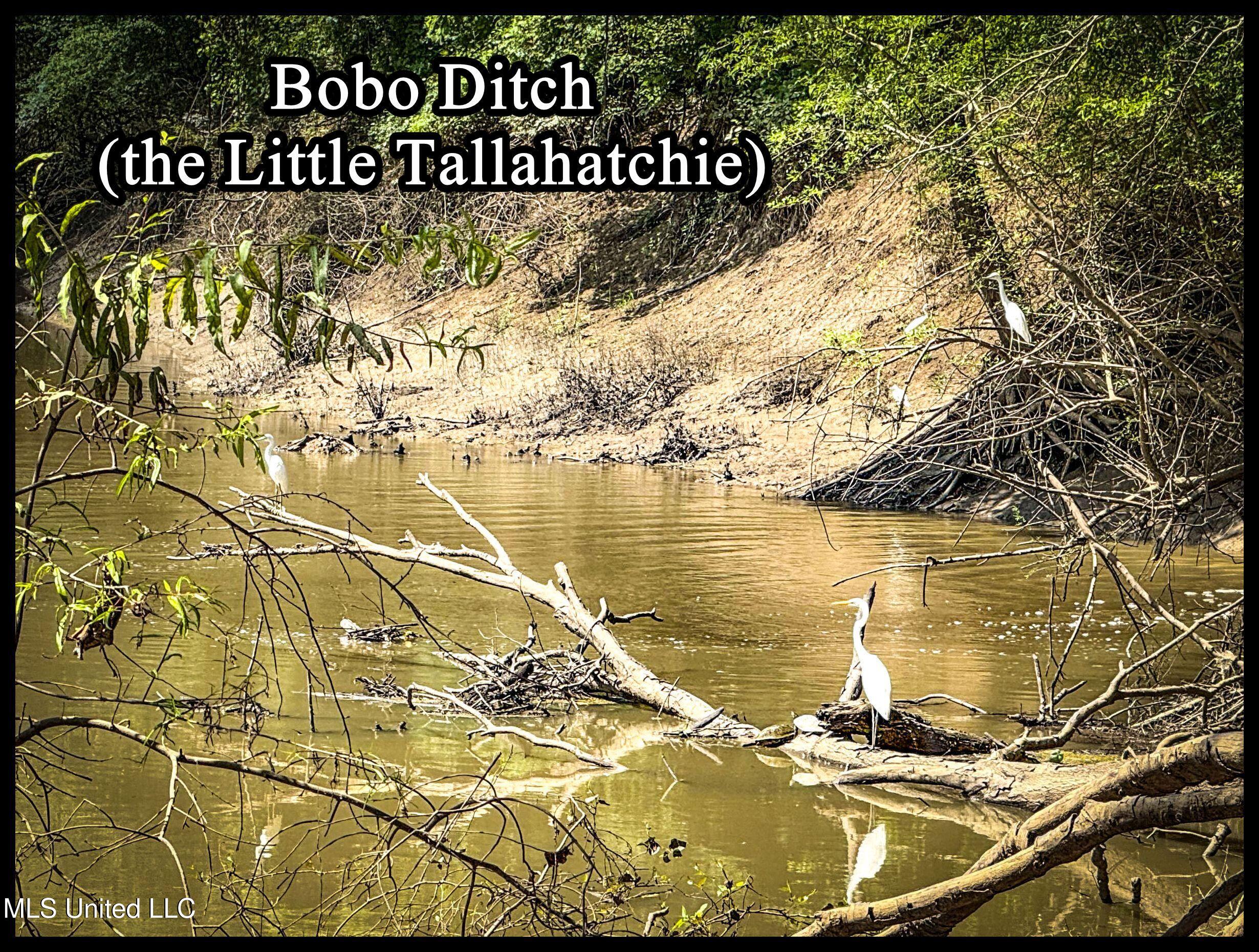 278 278th Marks, MS 38646 - Photo 10 of 125 1 bobo65b