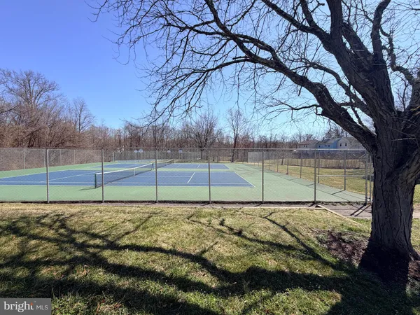 a view of a park with large trees