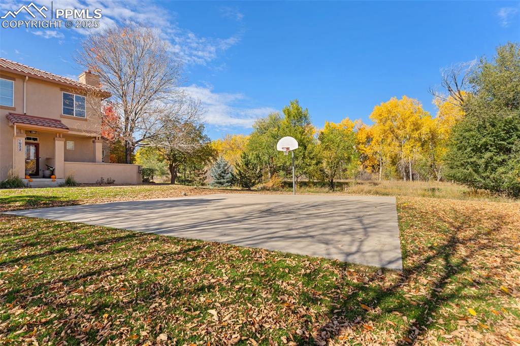 3231 Apogee View Colorado Springs, CO 80906 - Photo 38 of 38 a view of road with large trees