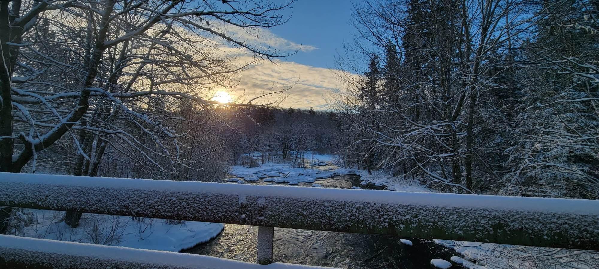 36 Phils Way Steuben, ME 04680 - Photo 40 of 42 Tunk Stream winter sun