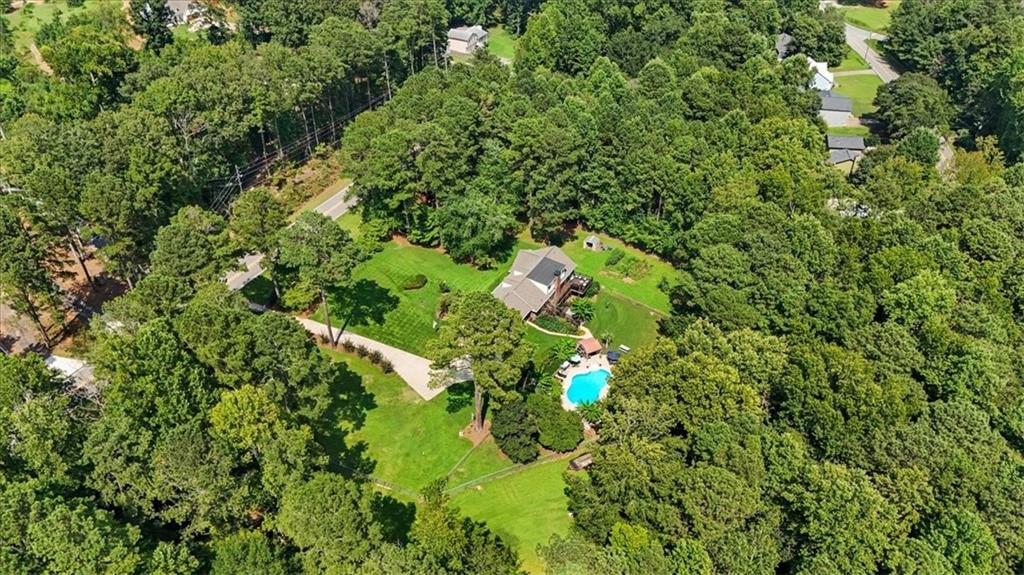 4970 Nebo Road Hiram, GA 30141 - Photo 51 of 61 a close up of a plant in a garden