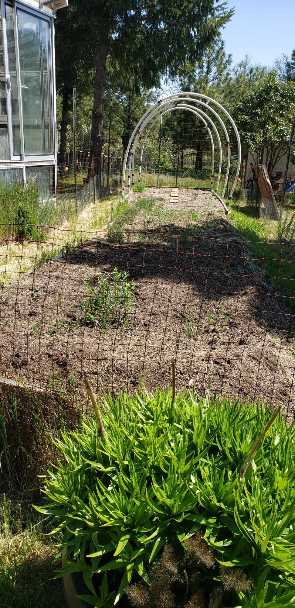 280 Turner Road Cave Junction, OR 97523 - Photo 32 of 38 enriched soil all organic. next to greenhouse.