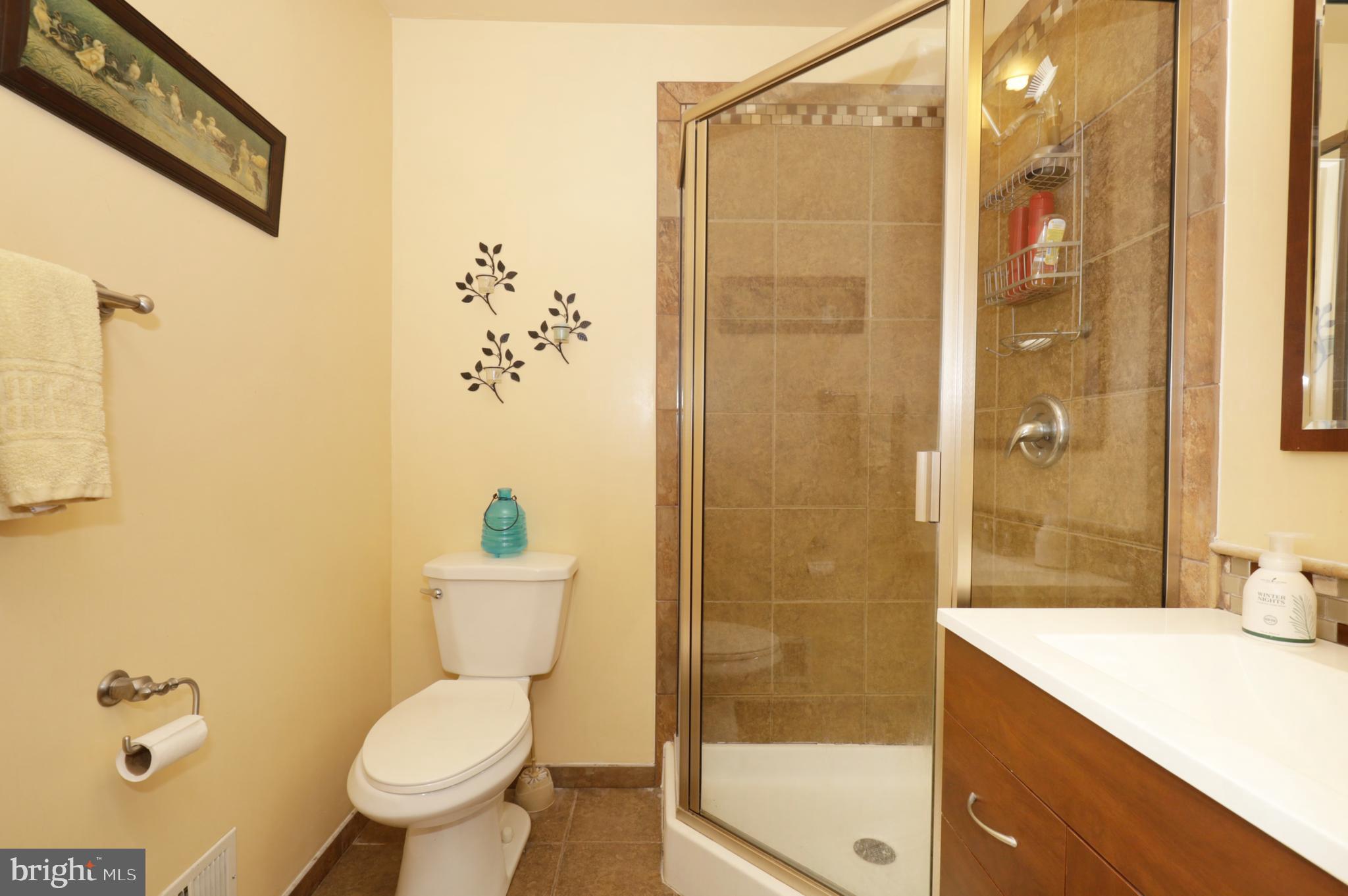 8576 Adamson Street Manassas, VA 20110 - Photo 22 of 37 Primary Bath